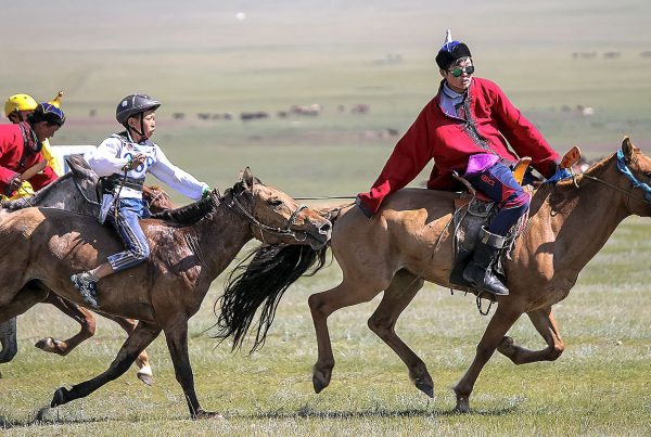 Horse race Naadam Festival