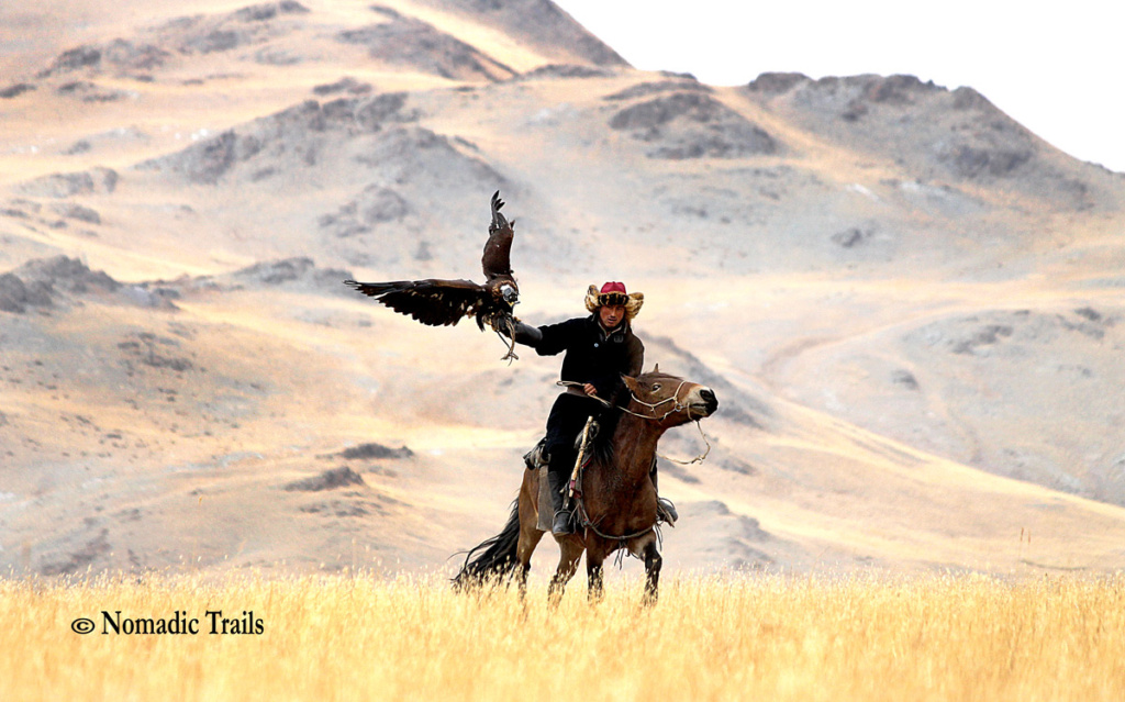 Golden Eagle Hunters Mongolia Golden Eagle Festival