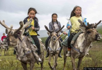 Tsaatan summer camp