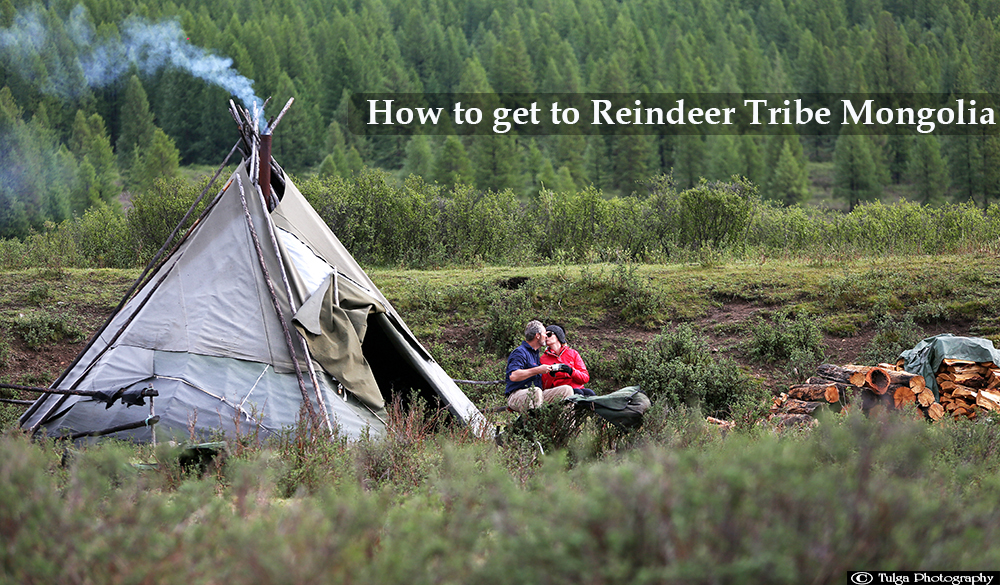 How to get to Reindeer Tribe