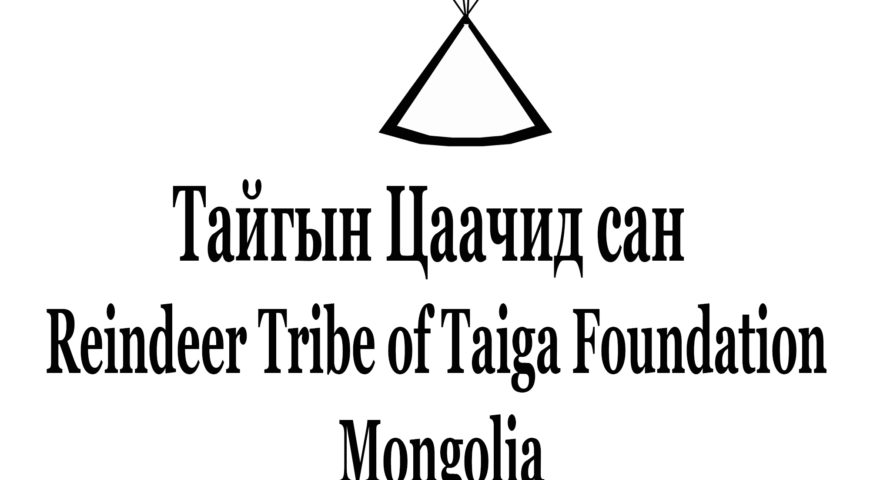 Logo Taiga Tsachid